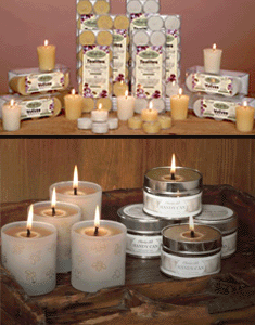 Cheeky Bee Candle Company - Catalogue